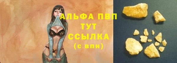 сатива Медногорск