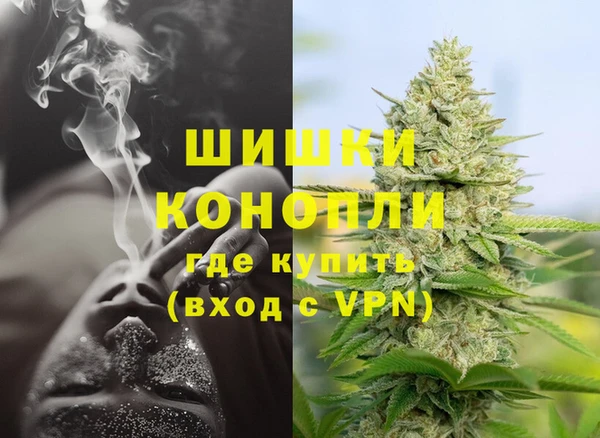PSILOCYBIN Бердск