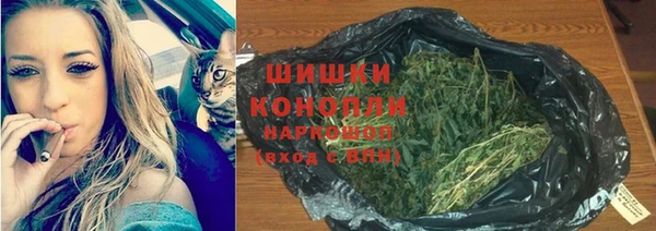сатива Медногорск