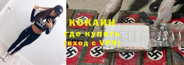 сатива Медногорск