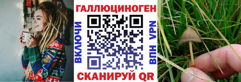 Псилоцибиновые грибы GOLDEN TEACHER  купить  сайты  omg зеркало  Вилюйск 